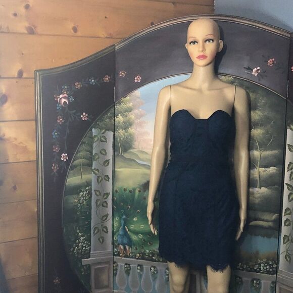 Xtaren Navy Blue Lace Sweetheart Neckline Dress Sz. L - Picture 1 of 9